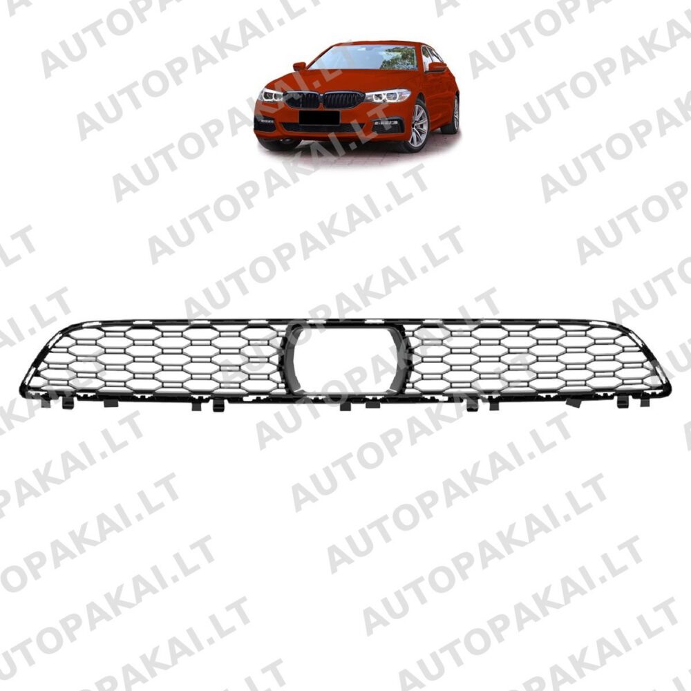 Front Bumper Mesh Center Grille ACC for BMW 5 (G30,G31) Pre-Facelift 2017-2020