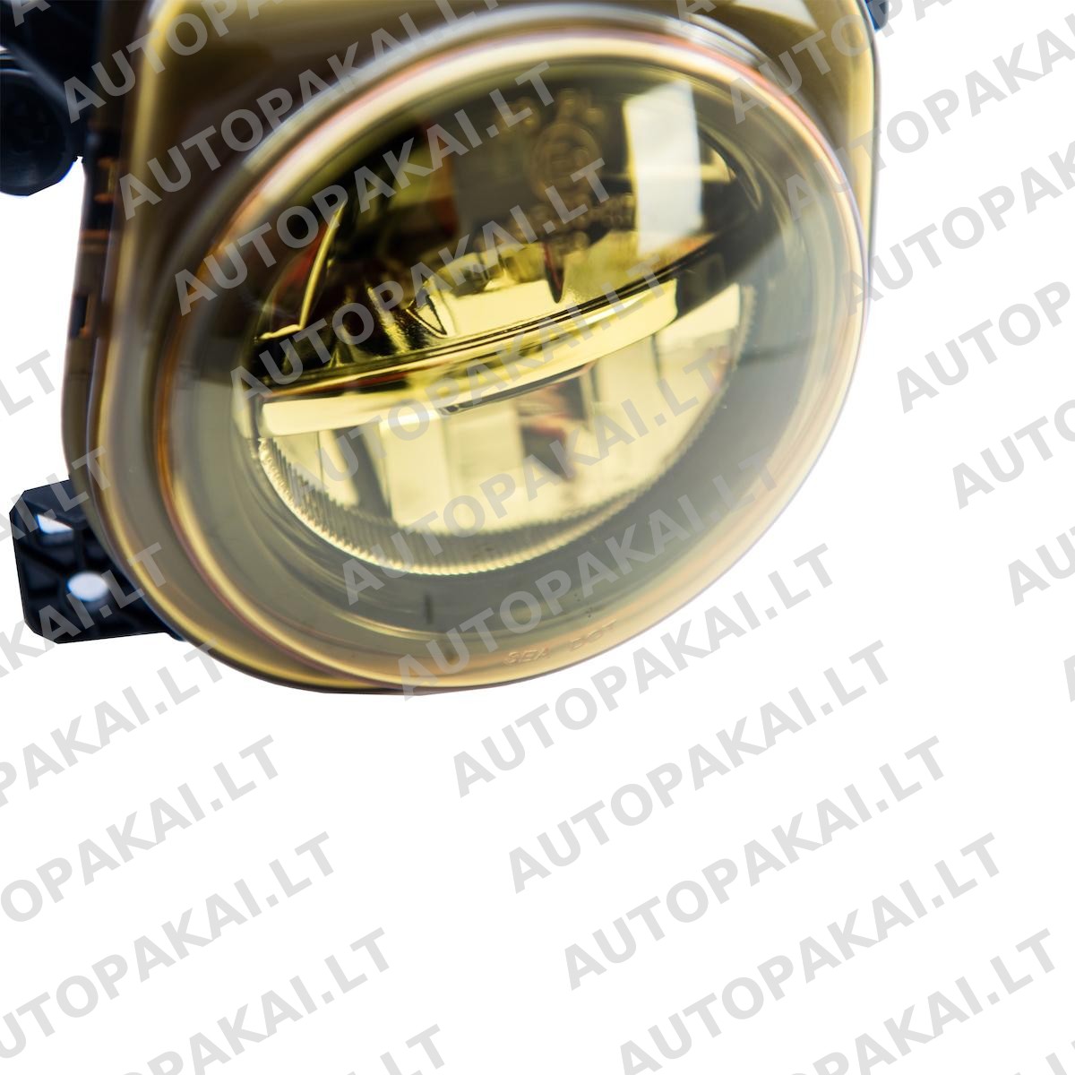 FOLBM0039-4 FOLBM0039-4