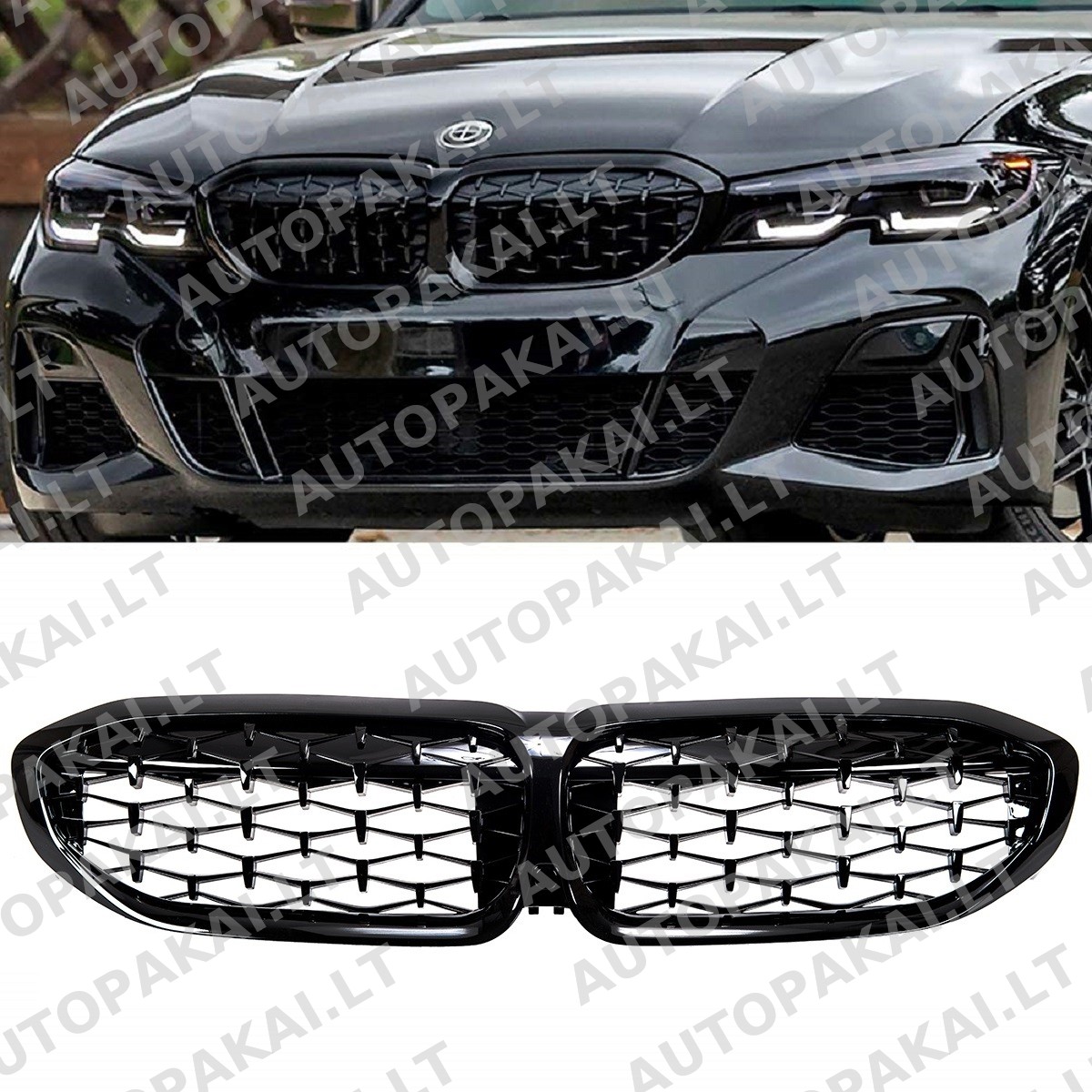 GRIBM0021-6 GRIBM0021-6