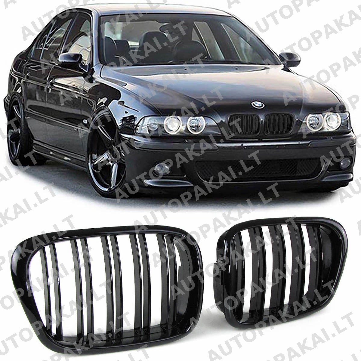 GRIBM0062-5 GRIBM0062-5