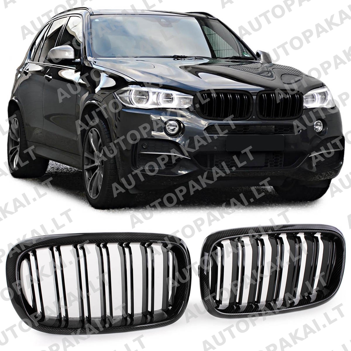 GRIBM0067-5 GRIBM0067-5