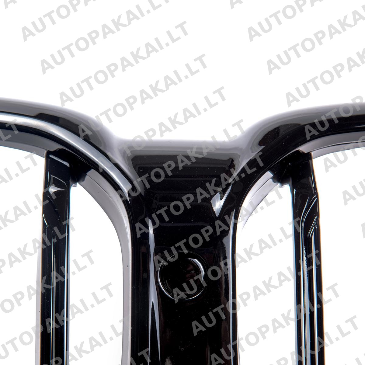 GRIBM0071-4 GRIBM0071-4