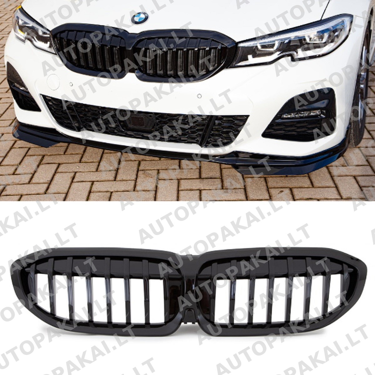 GRIBM0075-6 GRIBM0075-6