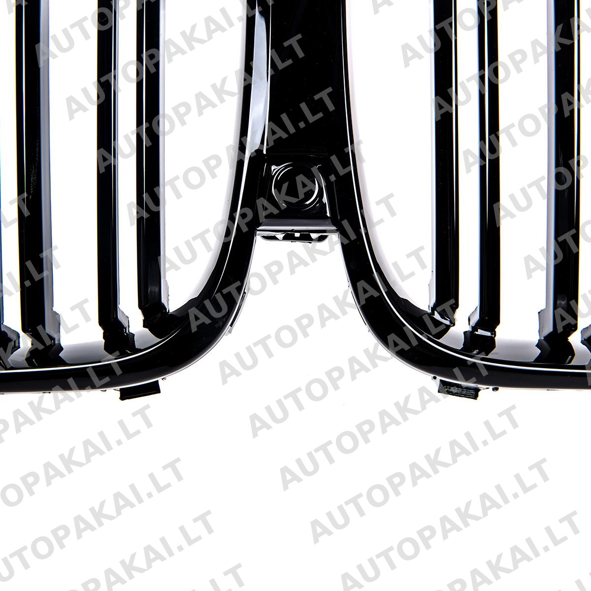 GRIBM0077-5 GRIBM0077-5