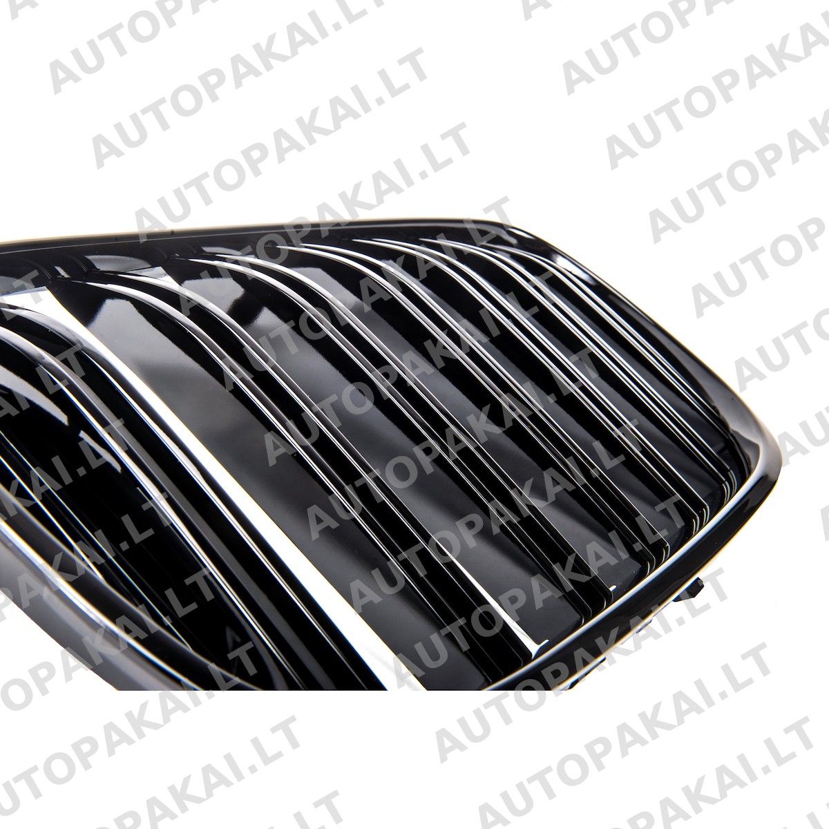 GRIBM0081-4 GRIBM0081-4