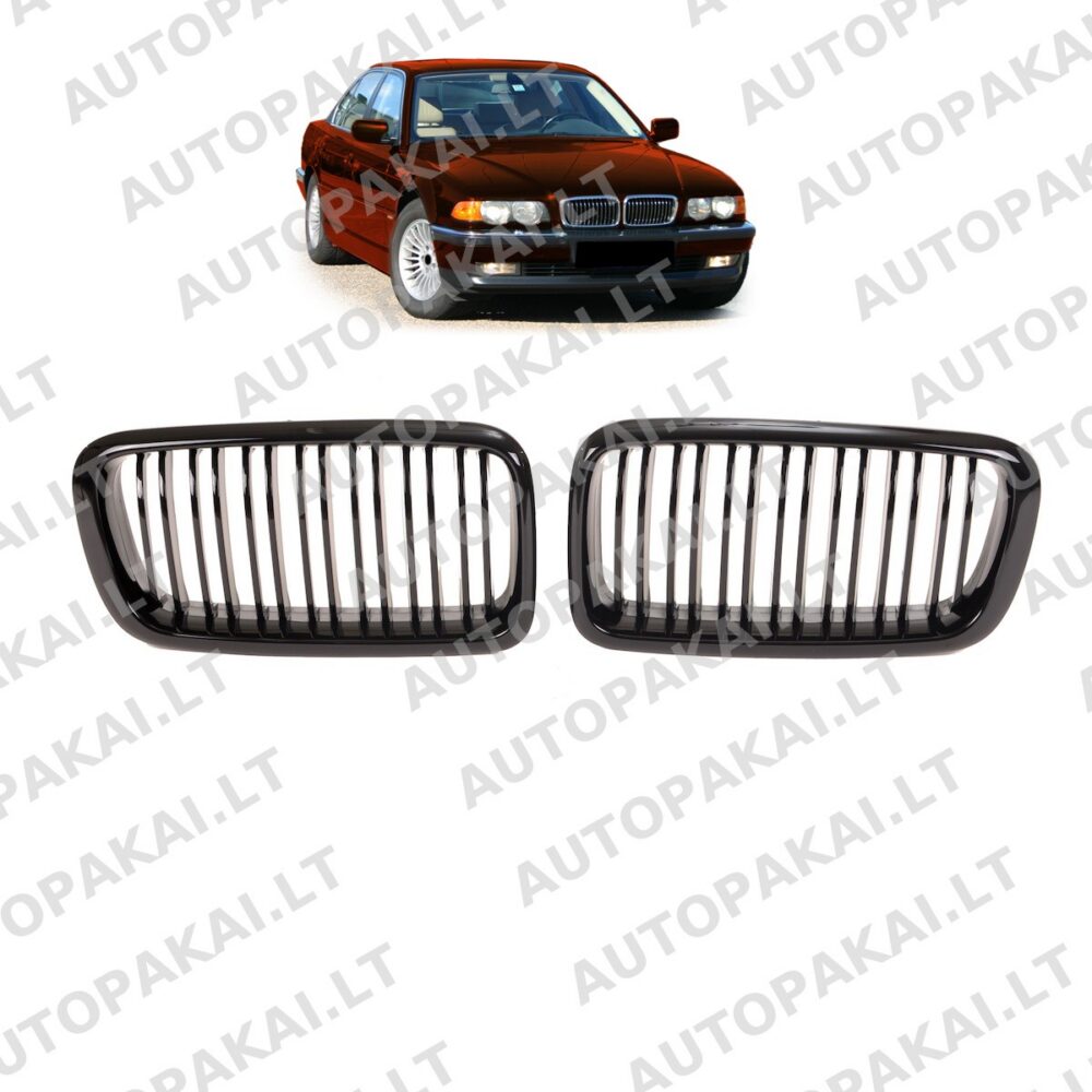 Grille Dual Line Gloss Black suitable for BMW 7 (E38) 1994-2001
