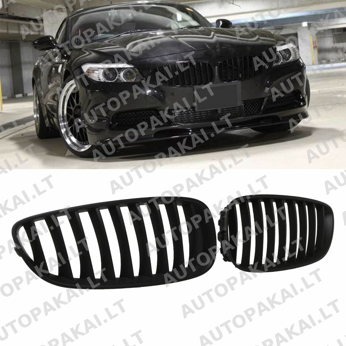 GRIBM0093-6 GRIBM0093-6