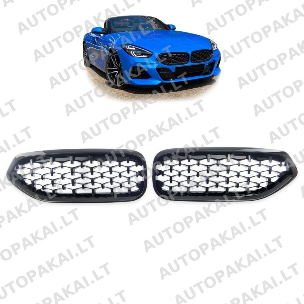 Grille All Gloss Black suitable for BMW Z4 (G29) Roadster 2018->