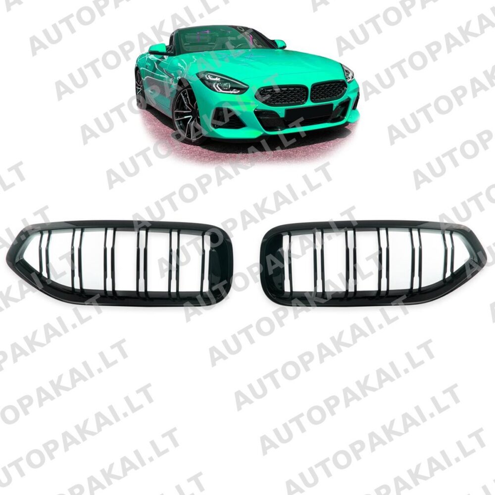 Grille Dual Line Gloss Black suitable for BMW Z4 (G29) Roadster 2018->
