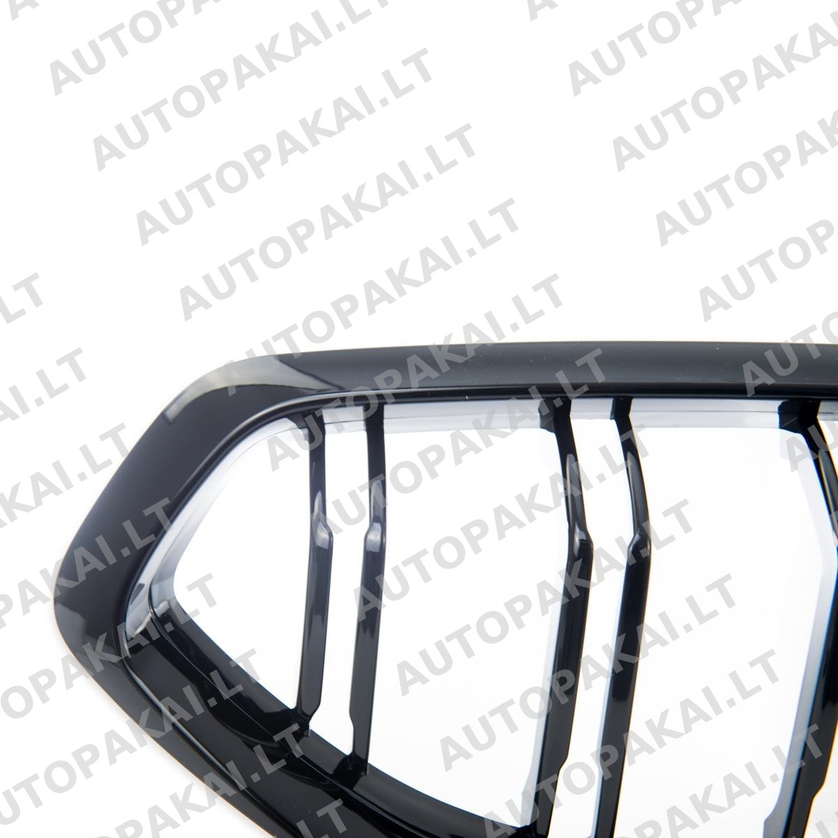 GRIBM0095-3 GRIBM0095-3