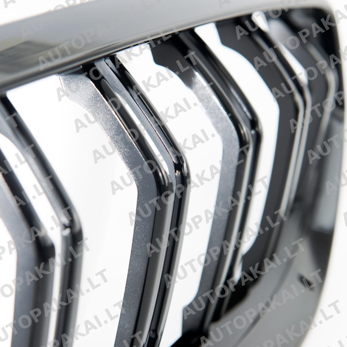 GRIBM0095-5 GRIBM0095-5