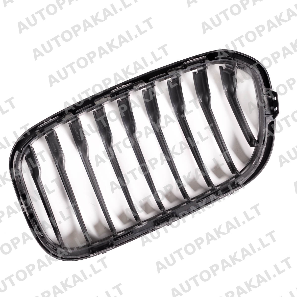 GRIBM0109-5 GRIBM0109-5