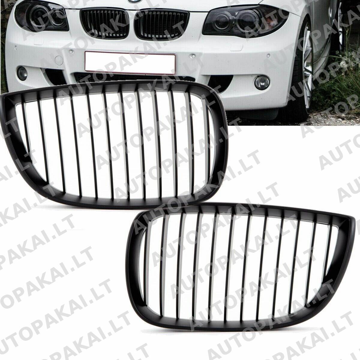 GRIBM0155-6 GRIBM0155-6