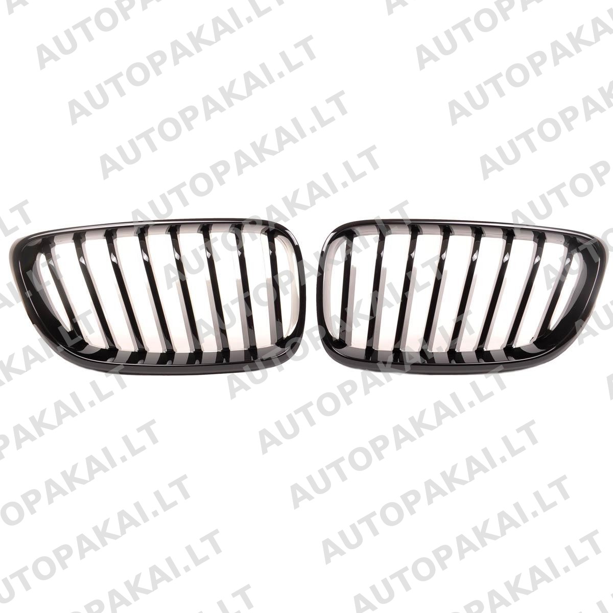 GRIBM0171-2 GRIBM0171-2