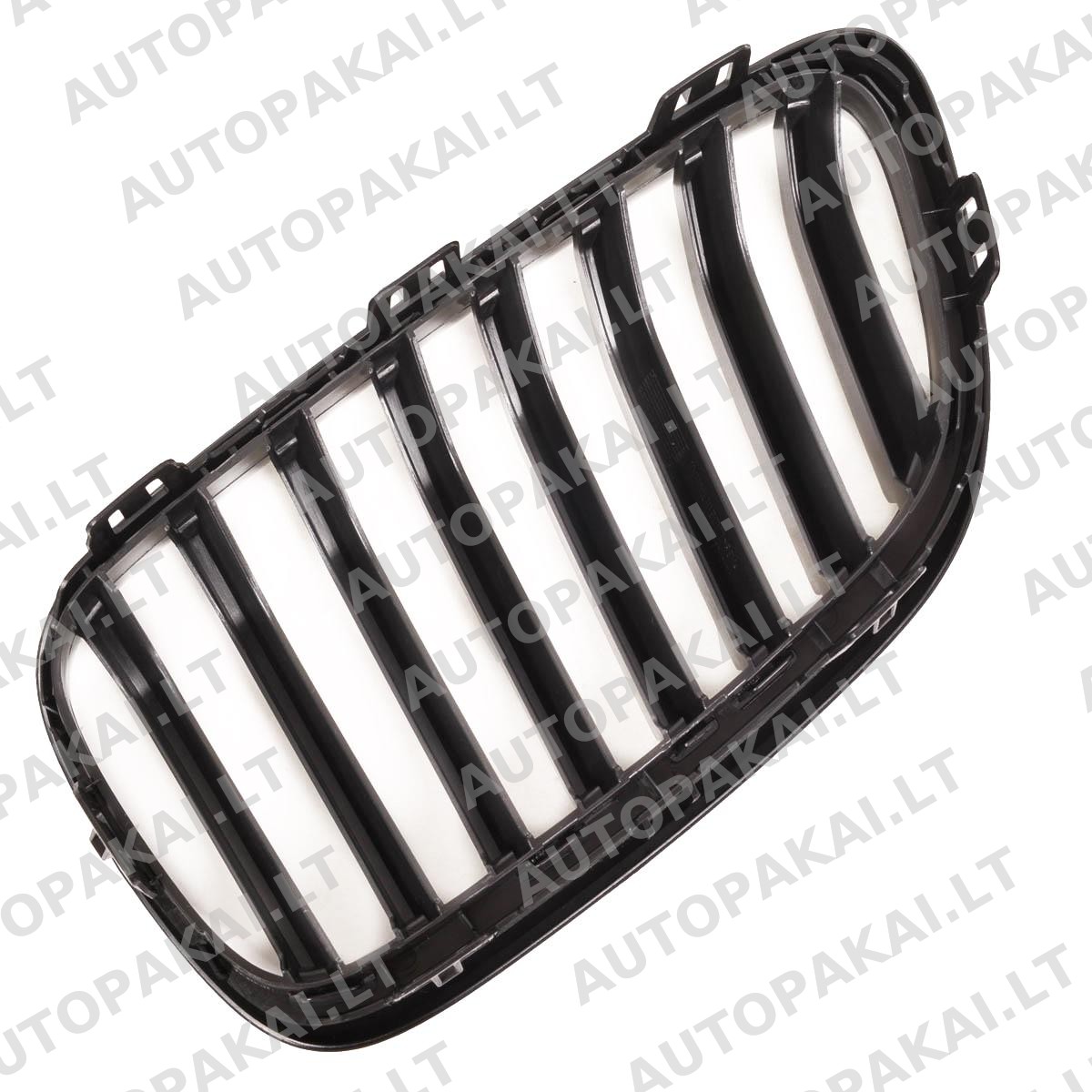 GRIBM0171-5 GRIBM0171-5