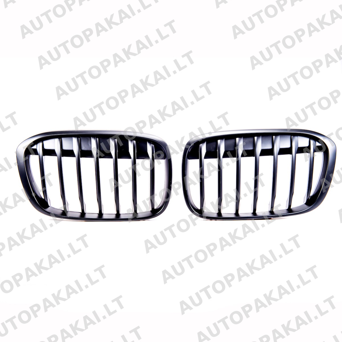 GRIBM0189-2 GRIBM0189-2