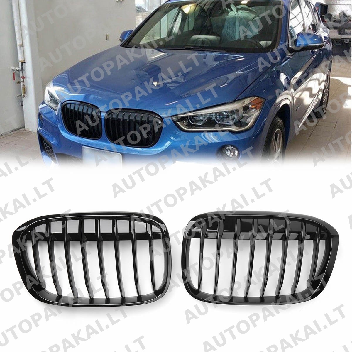 GRIBM0190-6 GRIBM0190-6