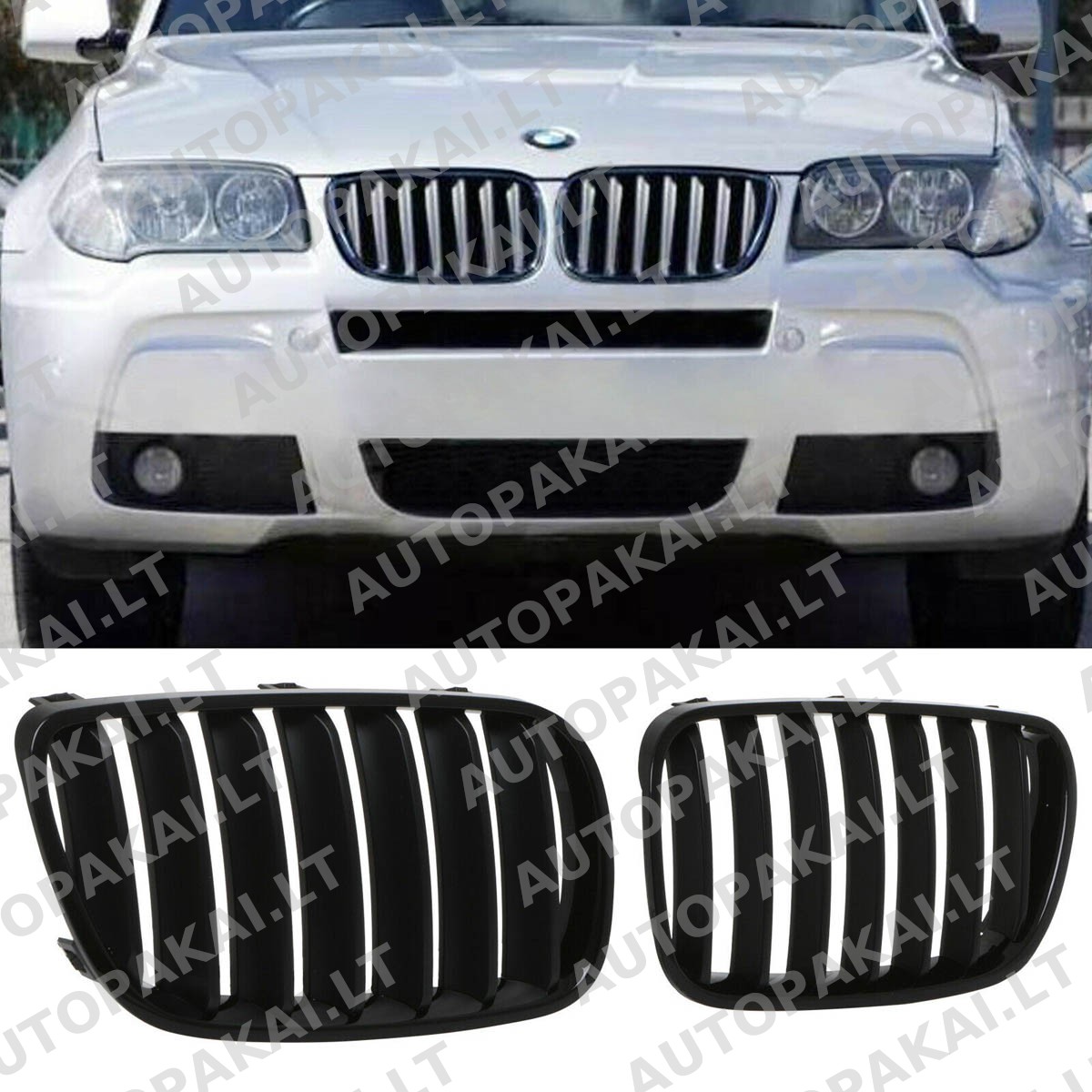 GRIBM0193-5 GRIBM0193-5