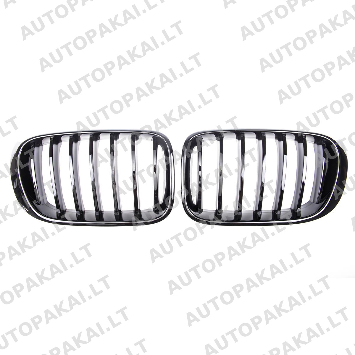 GRIBM0197-2 GRIBM0197-2