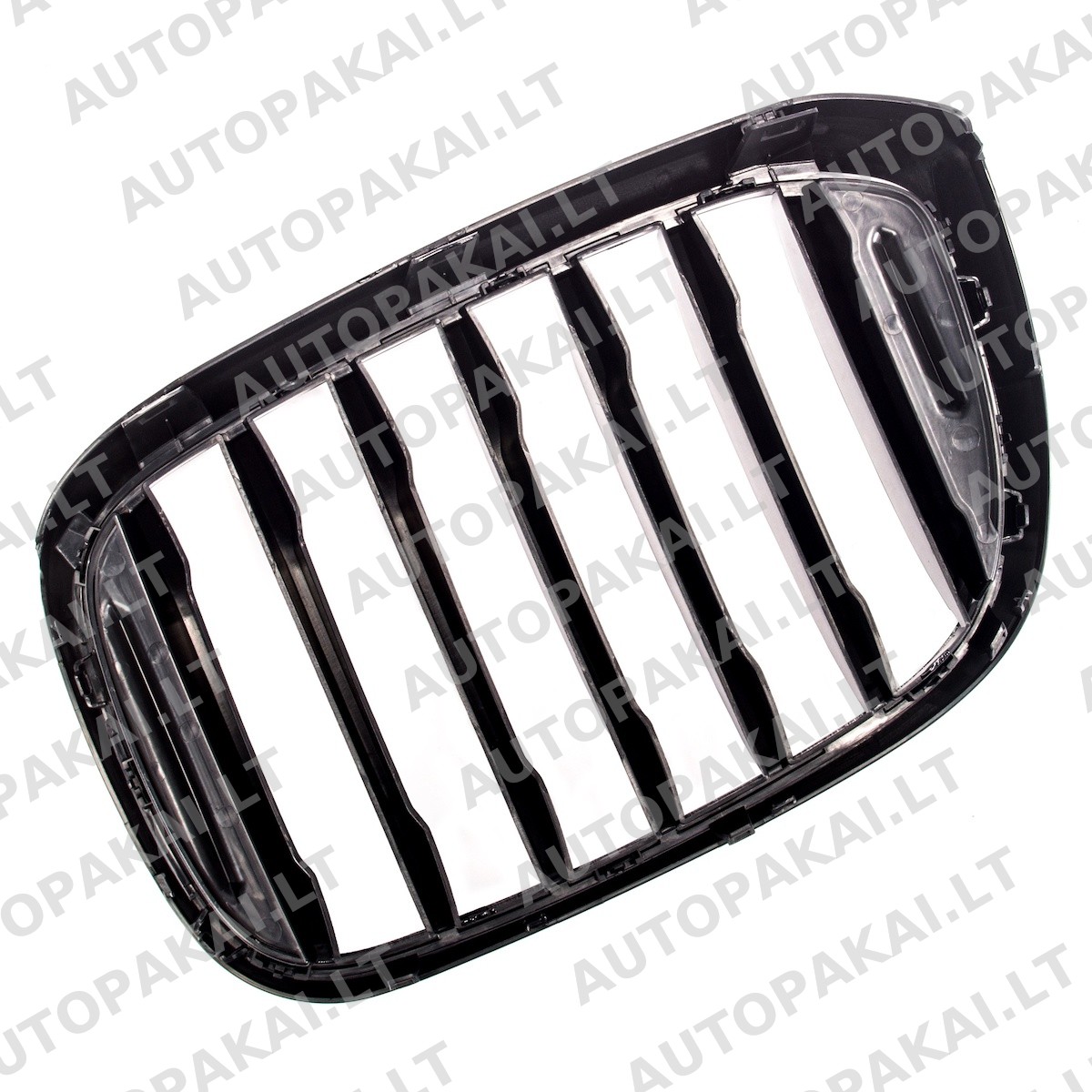 GRIBM0199-5 GRIBM0199-5