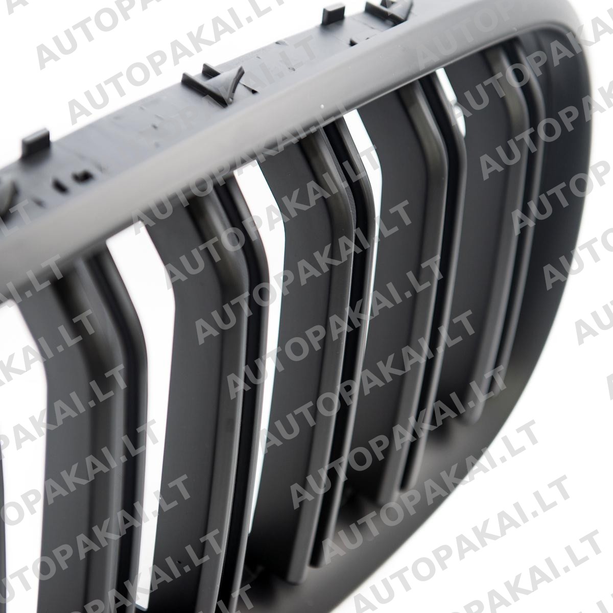 GRIBM0203-5 GRIBM0203-5