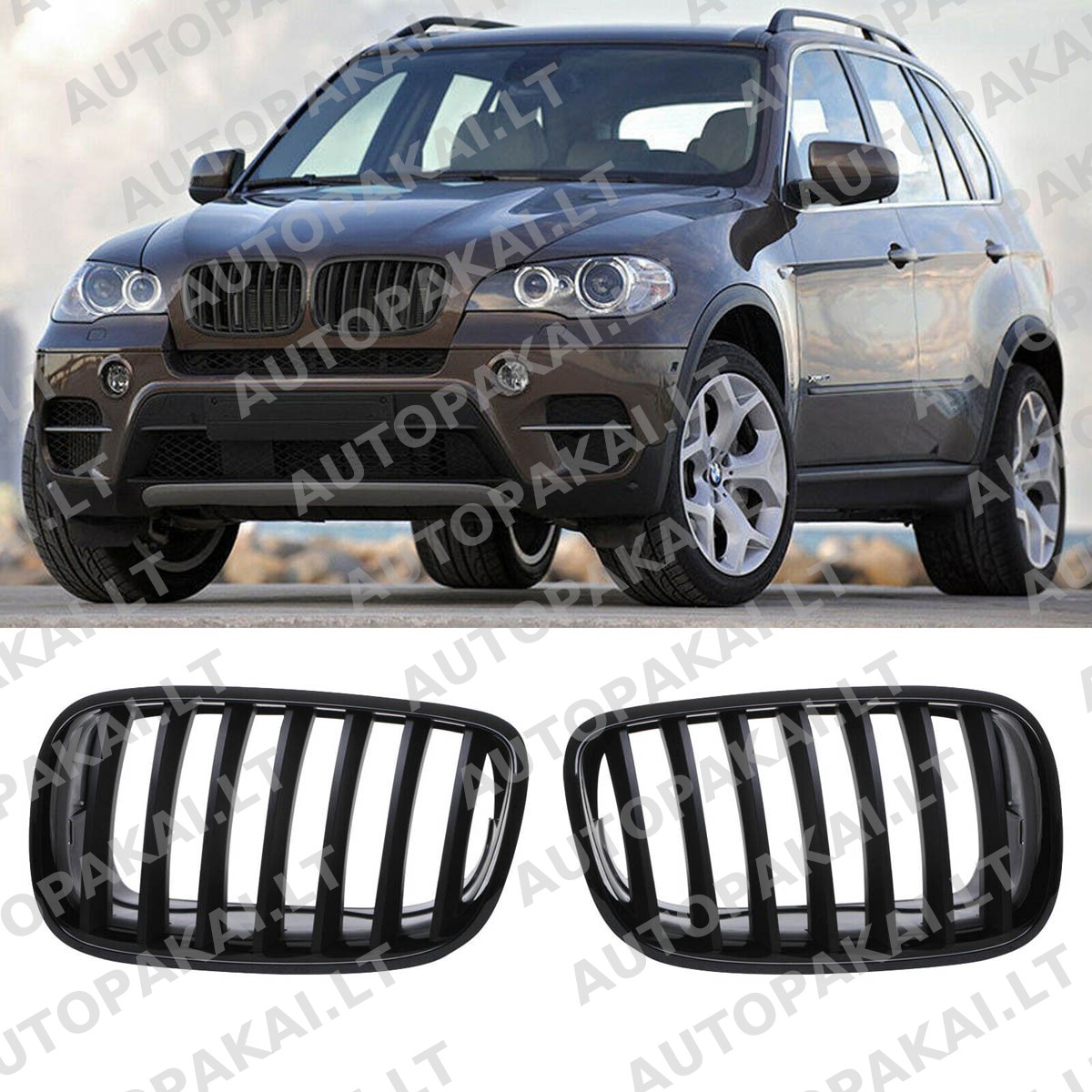 GRIBM0204-5 GRIBM0204-5