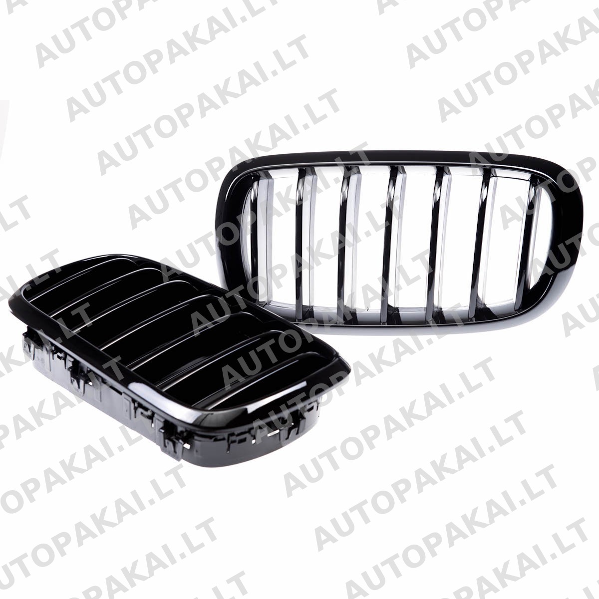 GRIBM0206-3 GRIBM0206-3