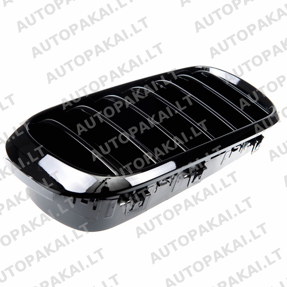 GRIBM0206-4 GRIBM0206-4