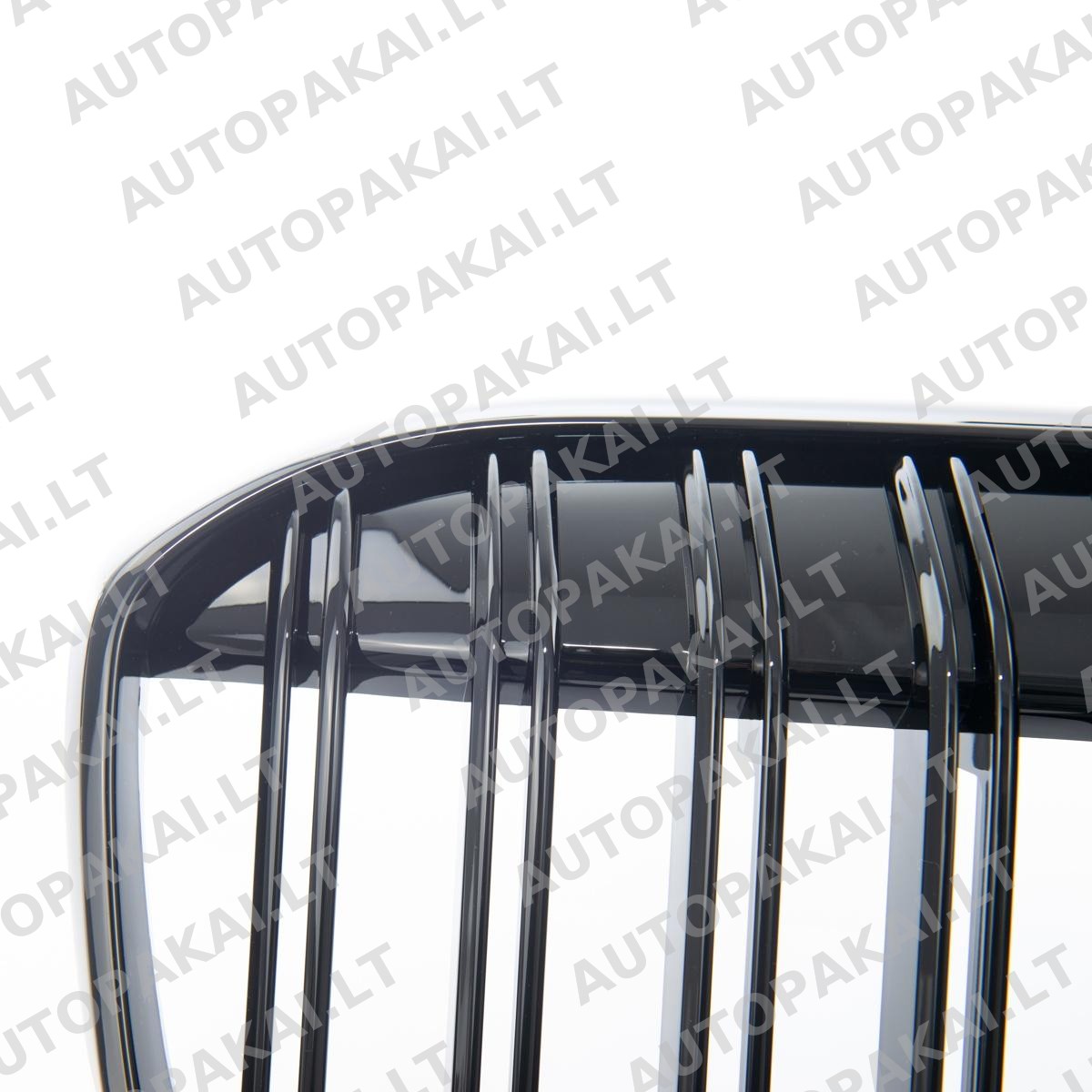 GRIBM0211-3 GRIBM0211-3