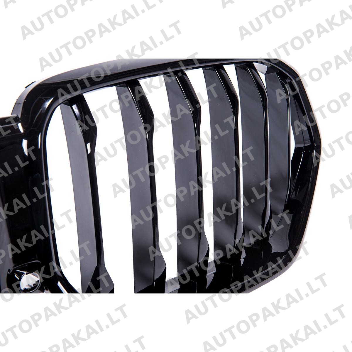 GRIBM0213-4 GRIBM0213-4