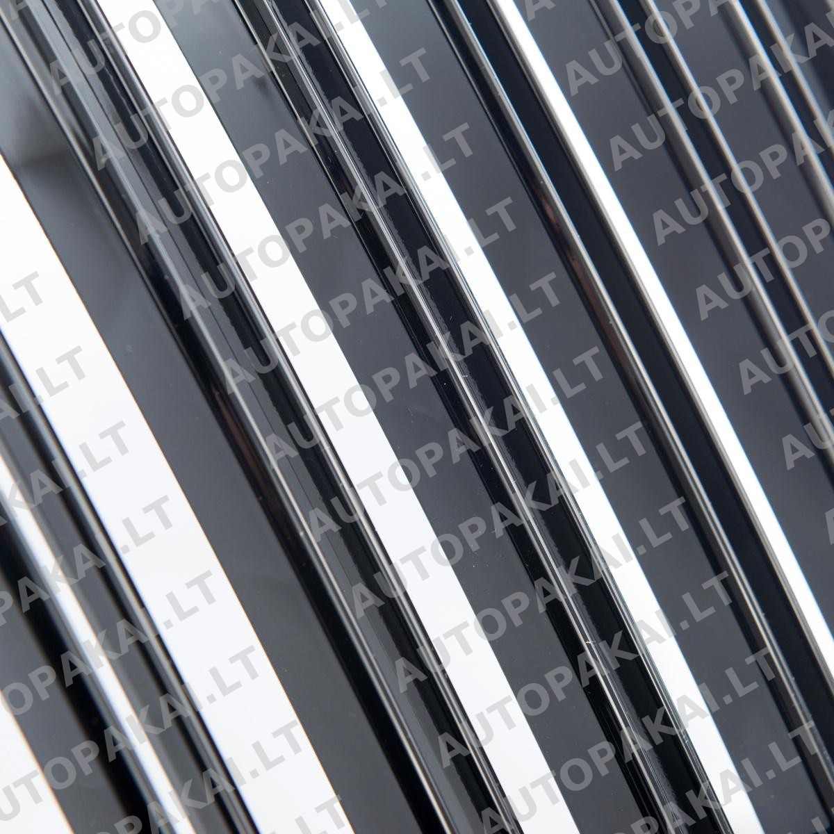 GRIBM0216-4 GRIBM0216-4