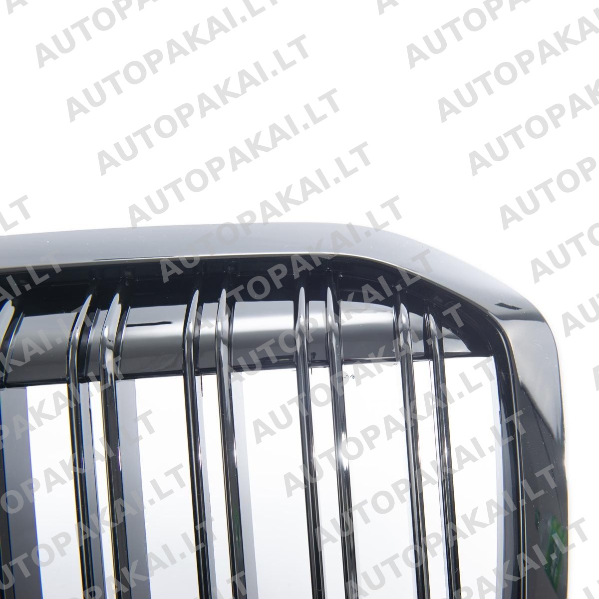 GRIBM0216-5 GRIBM0216-5