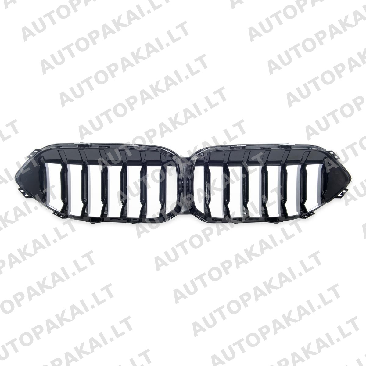 GRIBM0217-6 GRIBM0217-6