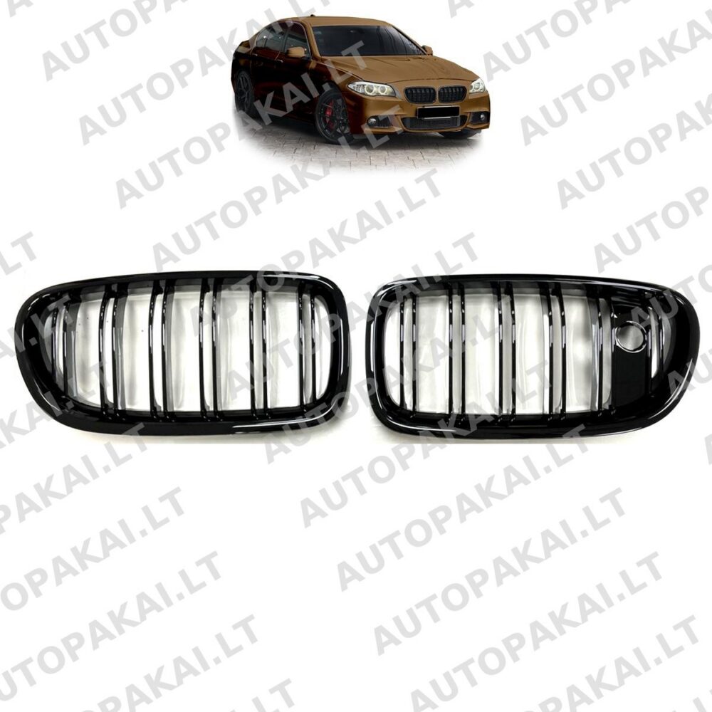 Grille Dual Line Gloss Black Camera for BMW 5 (F10,F11) 2010-2018