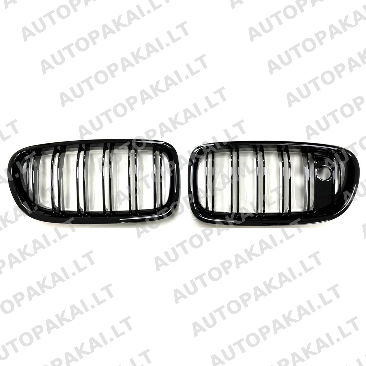 GRIBM0219-2 GRIBM0219-2