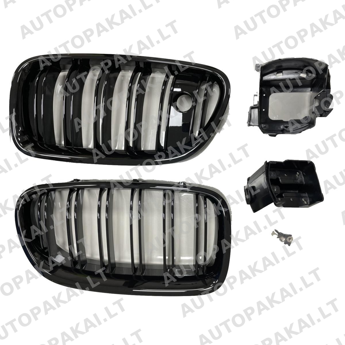 GRIBM0219-3 GRIBM0219-3