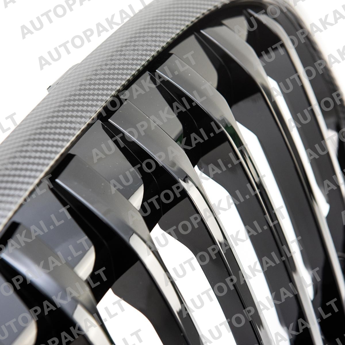 GRIBM0269-3 GRIBM0269-3