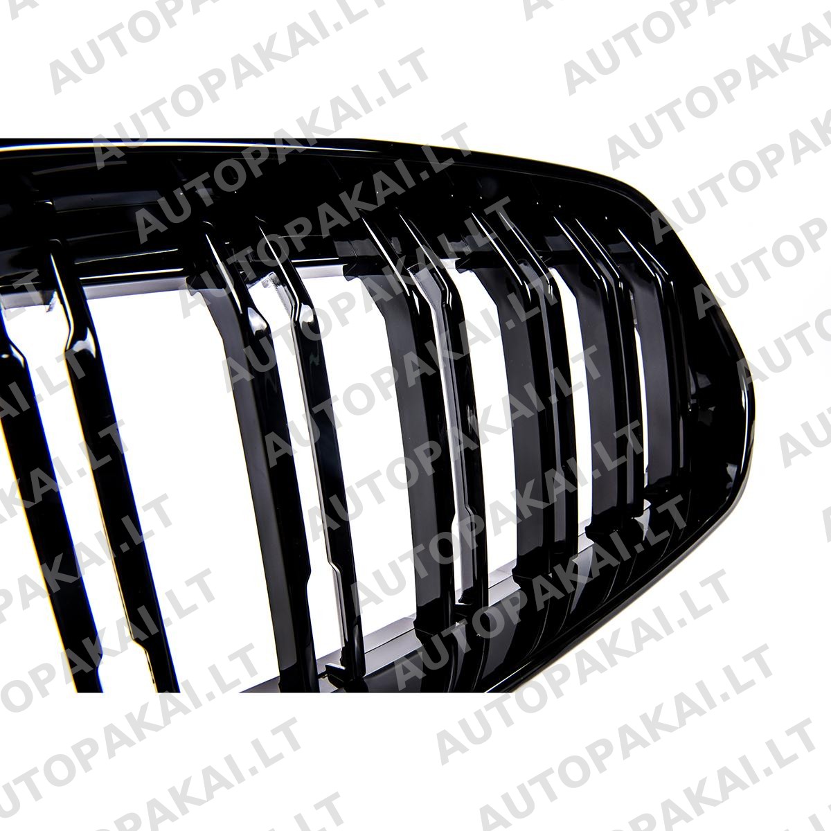 GRIBM0283-3 GRIBM0283-3