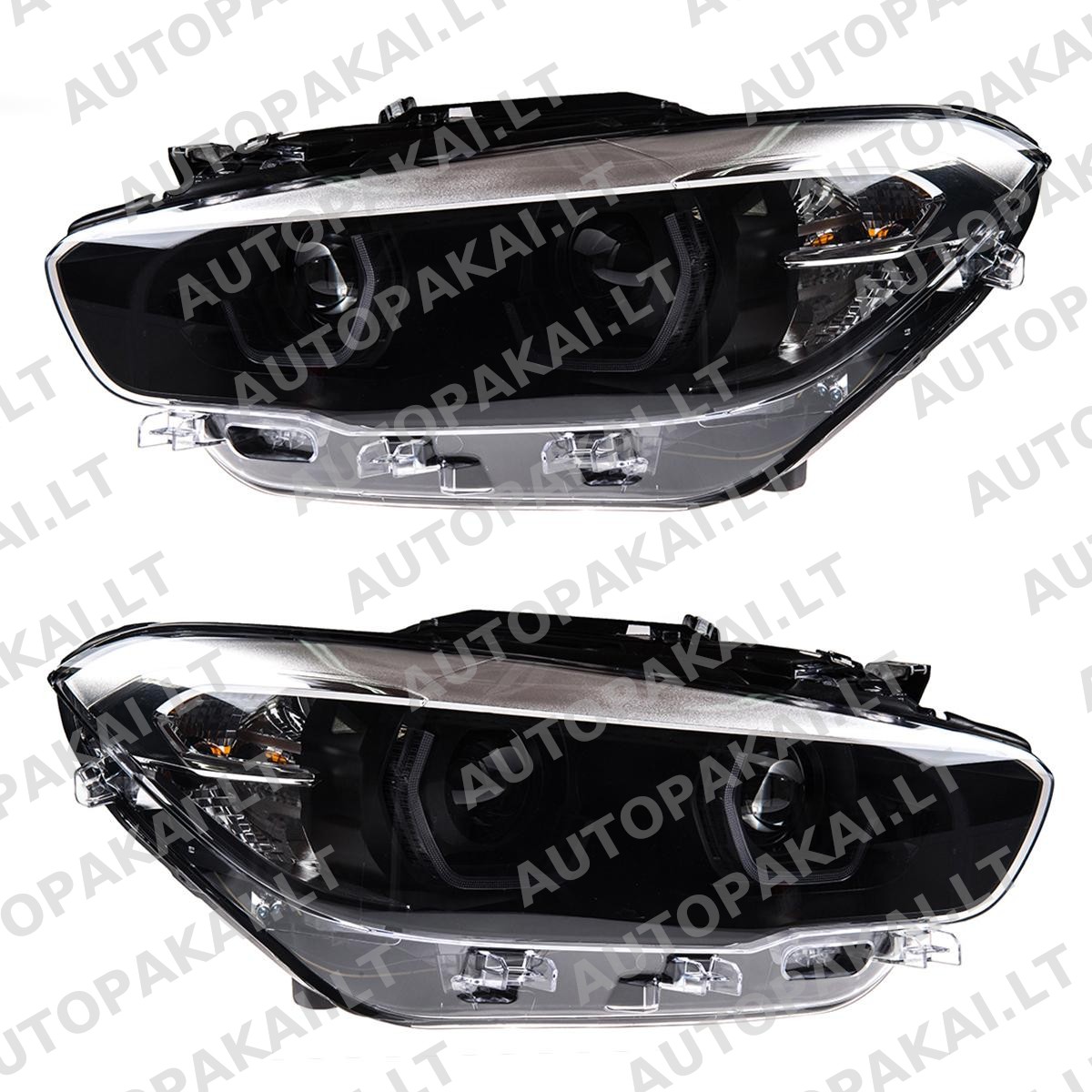 HELBM0032-3 HELBM0032-3