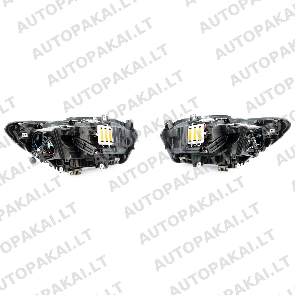 HELBM0043-6 HELBM0043-6