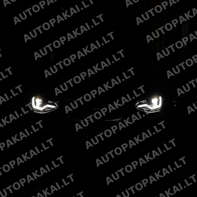 HELBM0044-7 HELBM0044-7