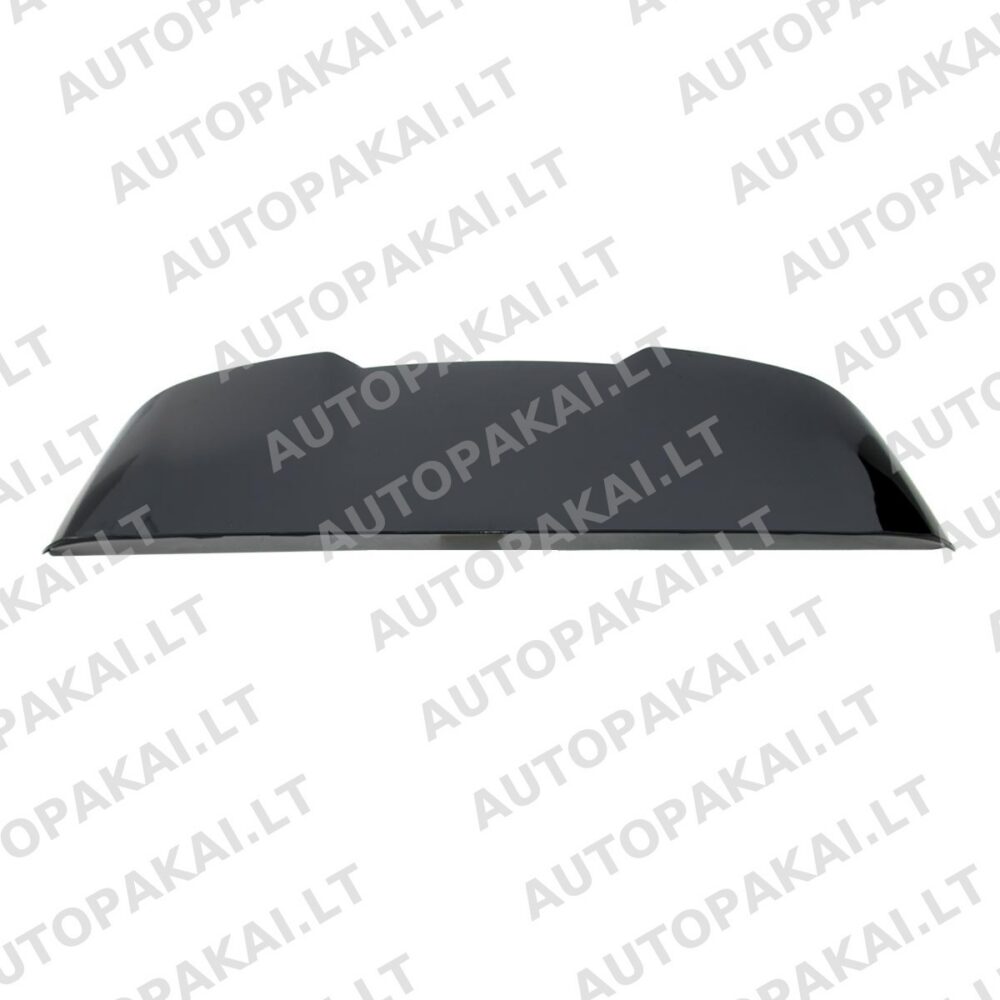 Roof Spoiler Wing suitable for BMW X5 (G05, F95) 2018->