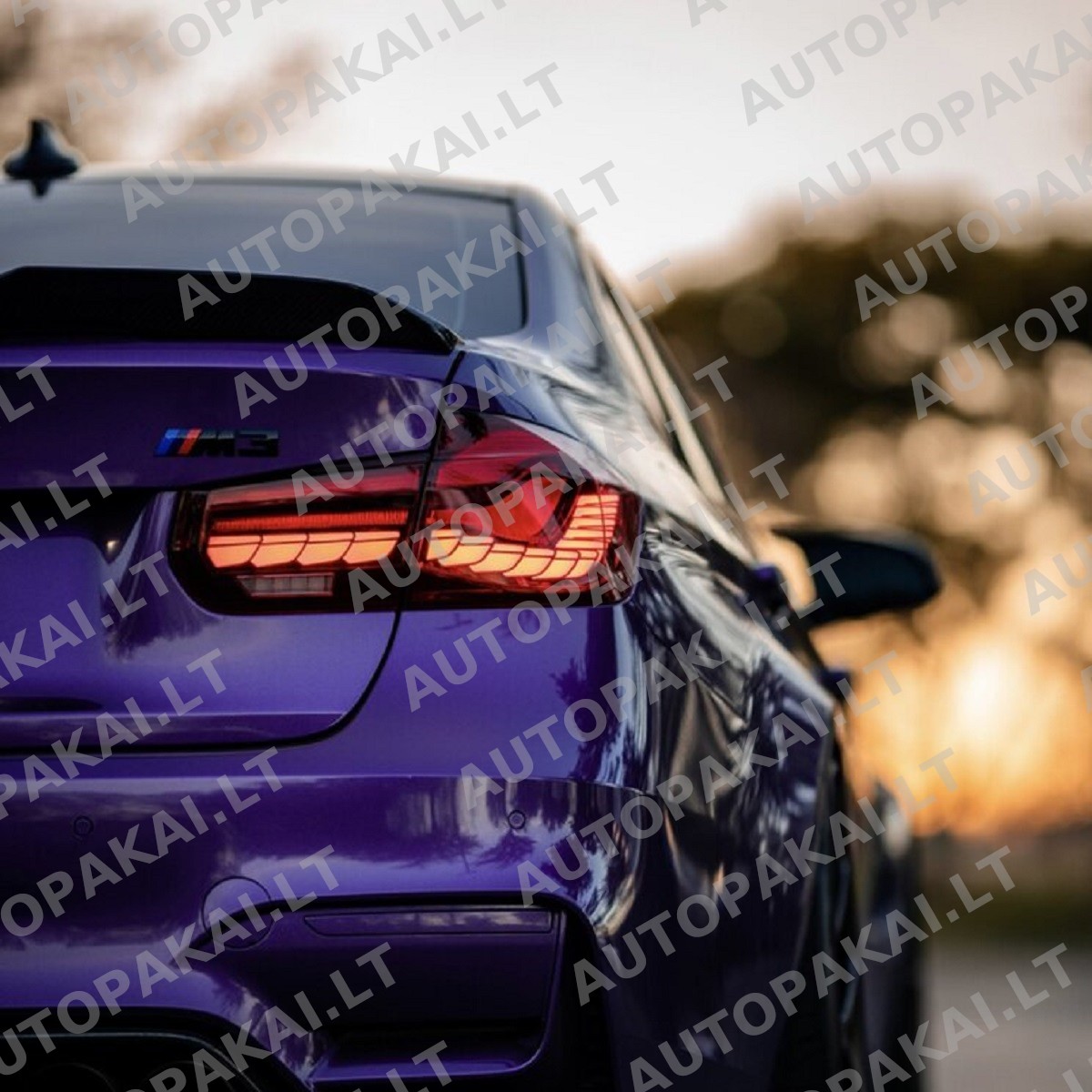 TLIBM0002-6 TLIBM0002-6